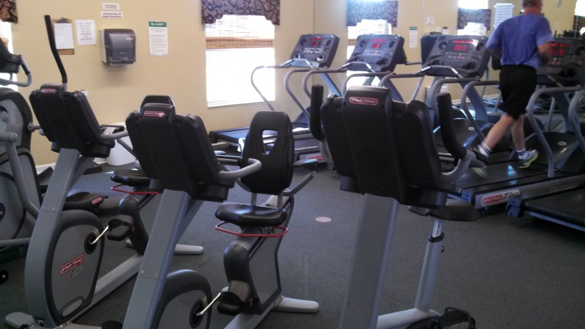 treadmills and bikes in fitness room