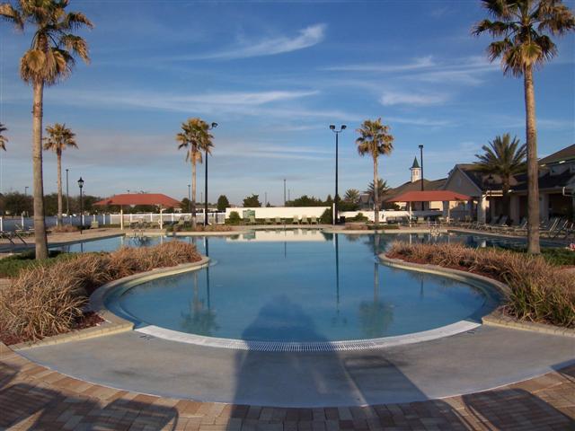 Summerglen Pool surrounded by palm trees